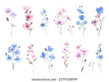 Various wildflowers in shades of pink, blue, and purple, painted in a soft watercolor style, vector illustration with natural elegant aesthetic.