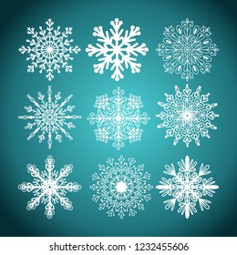 Various winter snowflakes vector set
set of vectors snowflakes