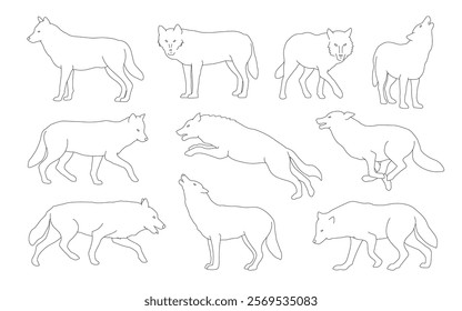 various wolf line on the white background
