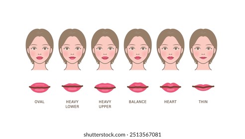 Various(different) types of lip shapes