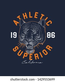 varsity athletic tiger - vector illustration for t-shirt