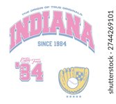 Varsity design with baseball elements soft colors
