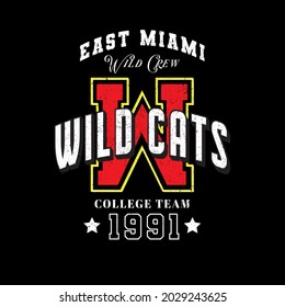 Varsity slogan print. College slogan typography print design. Vector t-shirt graphic or other uses.
