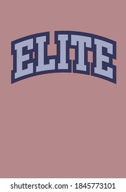 Varsity slogan typography graphics for t shirt. College print for apparel. Vector illustration.