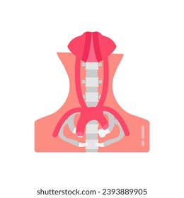 Vasculature Of Pelvis icon in vector. Logotype