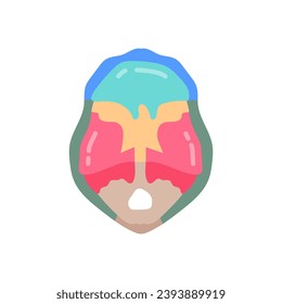 Vasculature Of Pelvis icon in vector. Logotype