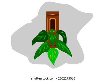 Vase of bamboo and ivy. Vector. Used for illustration of home decoration, garden decoration.