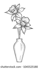 Vase with Daffodil flowers. Linear hand drawn vector sketch engraved illustration. Isolated on white background
