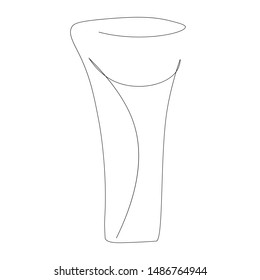 Vase for flower, vector  illustration 