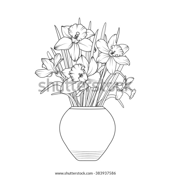 Vase Flowers Narcissus Daffodil Flowerpot Isolated Stock Vector