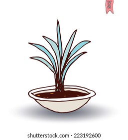  vase of flowers, Vector illustration