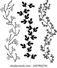 Vase leaves icon vector. Sketch vintage design. Illustration for posters decoration.