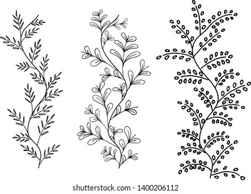 Vase leaves icon vector. Sketch vintage design. Illustration for decoration, poster, website and border.