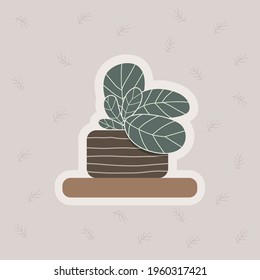 Vase on light background. Home garden collection.