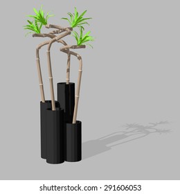 Vase with plants