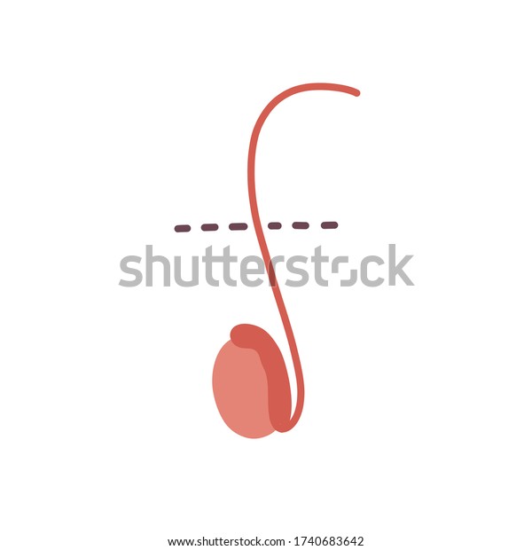 Vasectomy Doodle Icon Vector Illustration Stock Vector Royalty Free 1740683642 Shutterstock 5084