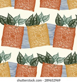 vases