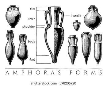 Vases shapes. Vector hand drawn illustration of amphoras and amphoriskos forms set. Parts of  typical ancient amphora, infographics. 