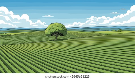 Vast agricultural field under a blue sky with clouds