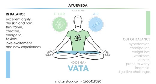 Vata dosha (o ectomorfa) constitución física ayurvédica del tipo del cuerpo humano. Dibujo vector editable de un hombre en asana padmasana sobre fondo blanco, para el diseño de yoga - pancarta, afiche, textil