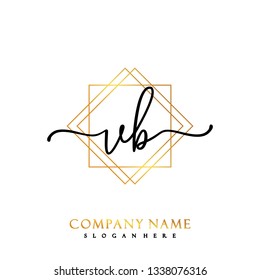 VB Initial Handwriting logo template vector