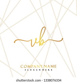 VB Initial Handwriting logo template vector