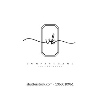 VB initial handwriting logo template vector