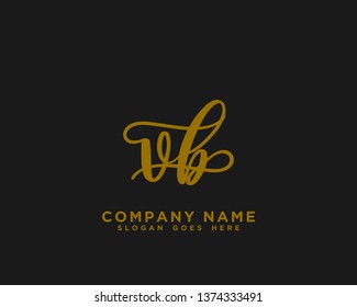 VB Initial Handwriting Logo Vector