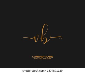 VB Initial handwriting logo vector