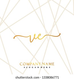 VE Initial Handwriting logo template vector