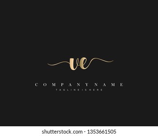 VE initial handwriting logo template vector