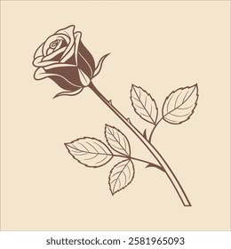 A veautiful Custom Rose Vector Design