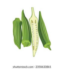 Vecktor illustration of Okra, Okura Okazu, ladyfinger, bamia or Bhindi. Fresh green vegetable, asian cooking ingredient. Whole and sclice. Healthy vegetarian food. Flat vector in cartoon style.