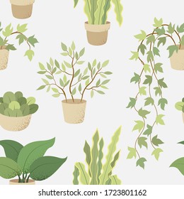 Veclor seamless pattern with house indoor plants on white background. Flat colorful vector illustration for textile prints