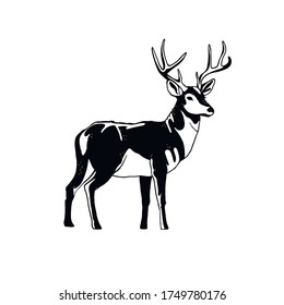 Vecor deer illustration, Animal design, Forest art, Nature graphic, Abstract character, Monochrome logotype, Wild symbol, Black outline, Deer wallpaper