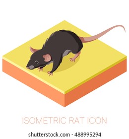 Vecor image of the Isometric rat icon on a square ground