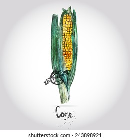 Vecor watercolor corn with label natural product 