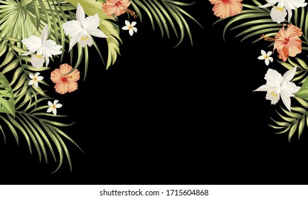 Vecror tropical background wih palm leaves, hibiscus and orchid flowers. vector exitic illustration for cover design.