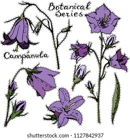 Vecrot sticker campanula. White background