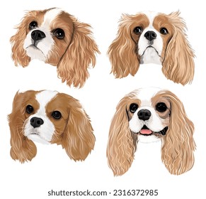 Vecter art of the cavalier king charls spaniel puppies