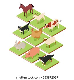 Vecto image of the Domestic isometric animals