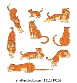 Vectoe set of hand drawn tigers in different actions. Large wild cat with orange striped coat. Predatory animal