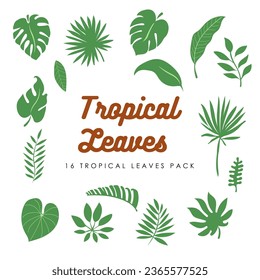Paquete de hojas tropicales Vector 16