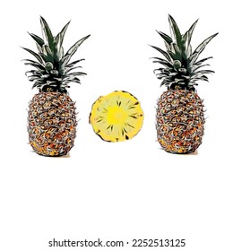 Vector of 2 whole pineapples and a peeled pineapple that can be used for many of your illustration purposes
