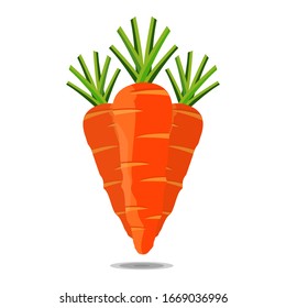 Vector 3 of fresh carrot vegetables with shadows, for graphic designer logos and web pages.