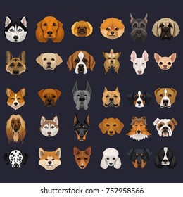 Vector 30 popular dog breeds set symbol new 2018 year