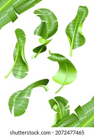 Hojas de plátano vectorial 3d aisladas en fondo blanco