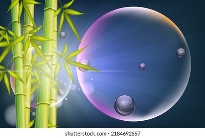 Vector 3d Bubbles and Bamboo Three, Abstract Scene for cosmetic Product and Package Presentation Background, Abstract Illustration.