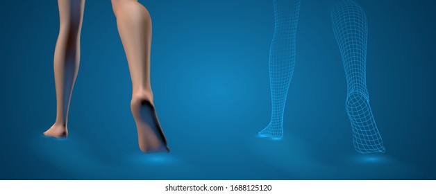 patas hembra vectoriales 3d, paso seguro aislado en fondo azul