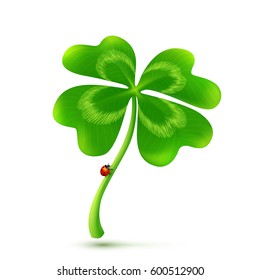 Vector 3D four-leaf clover isolated on white background